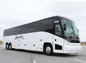 Buses
